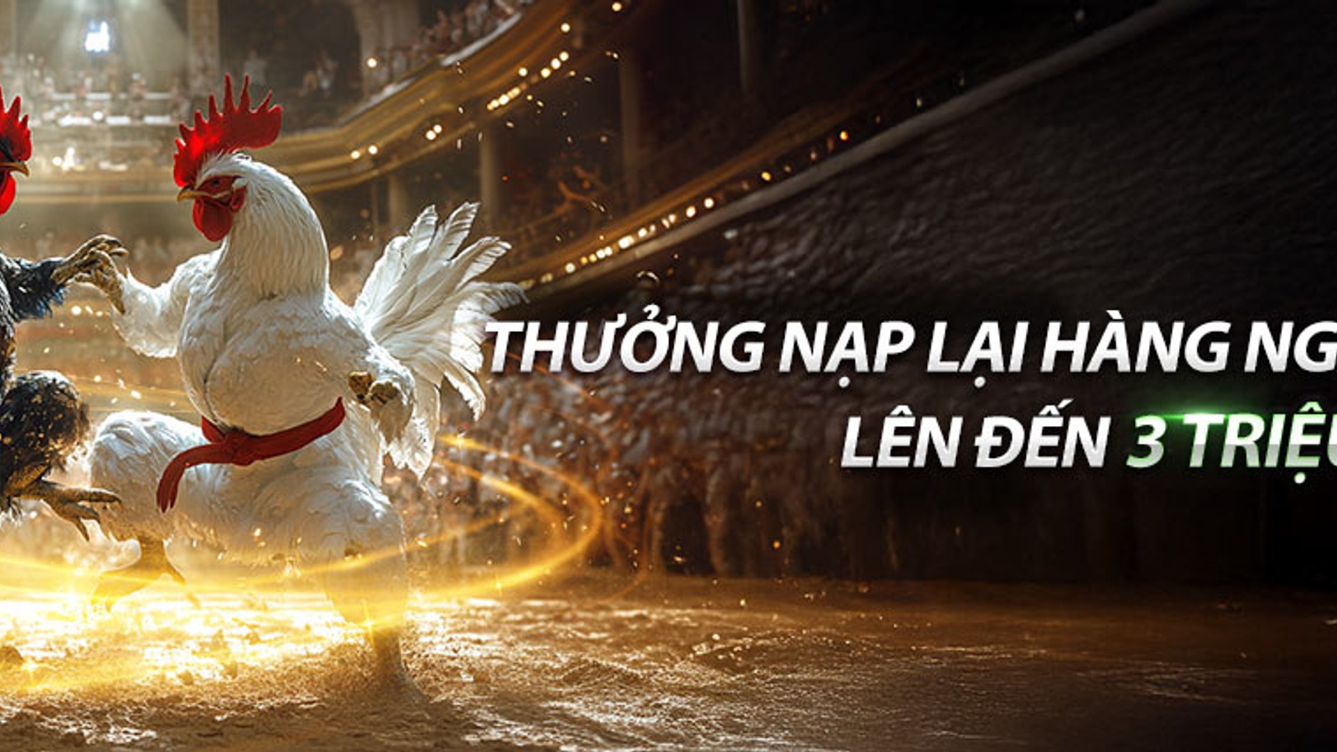 Hình ảnh quảng cáo hoàn trả hàng ngày ku3933